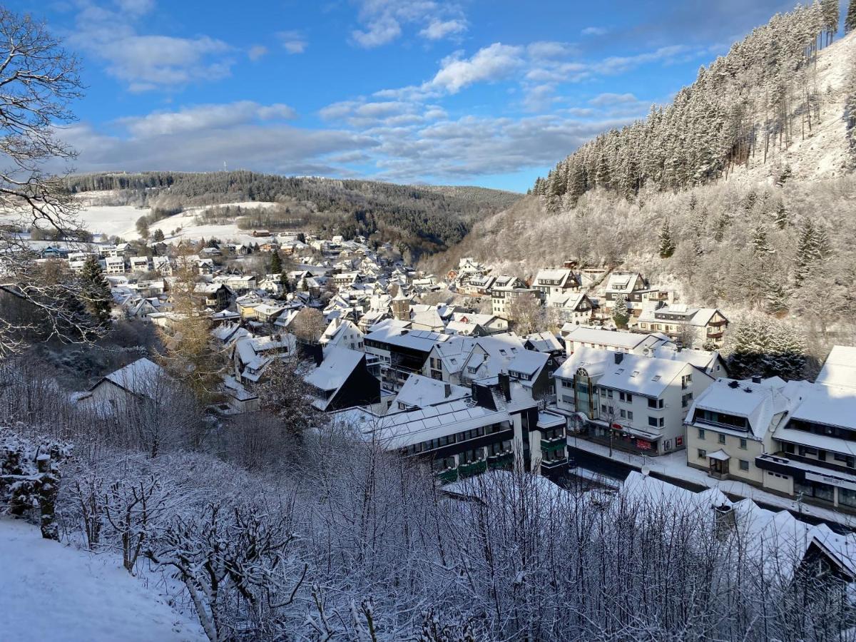 Mühlenberg * Willingen (Upland)