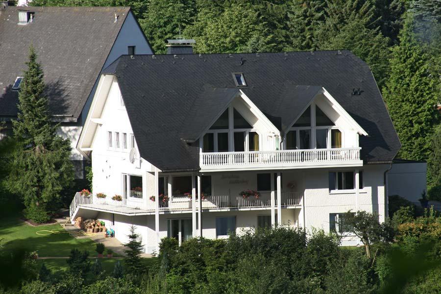 Mühlenberg * Willingen (Upland)